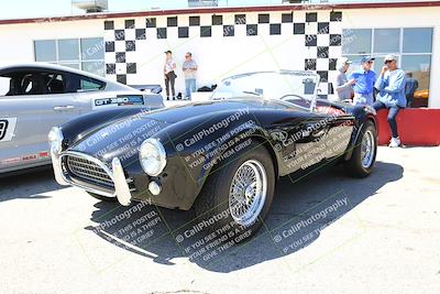 media/May-07-2022-Cobra Owners Club of America (Sat) [[e681d2ddb7]]/Around the Pits/